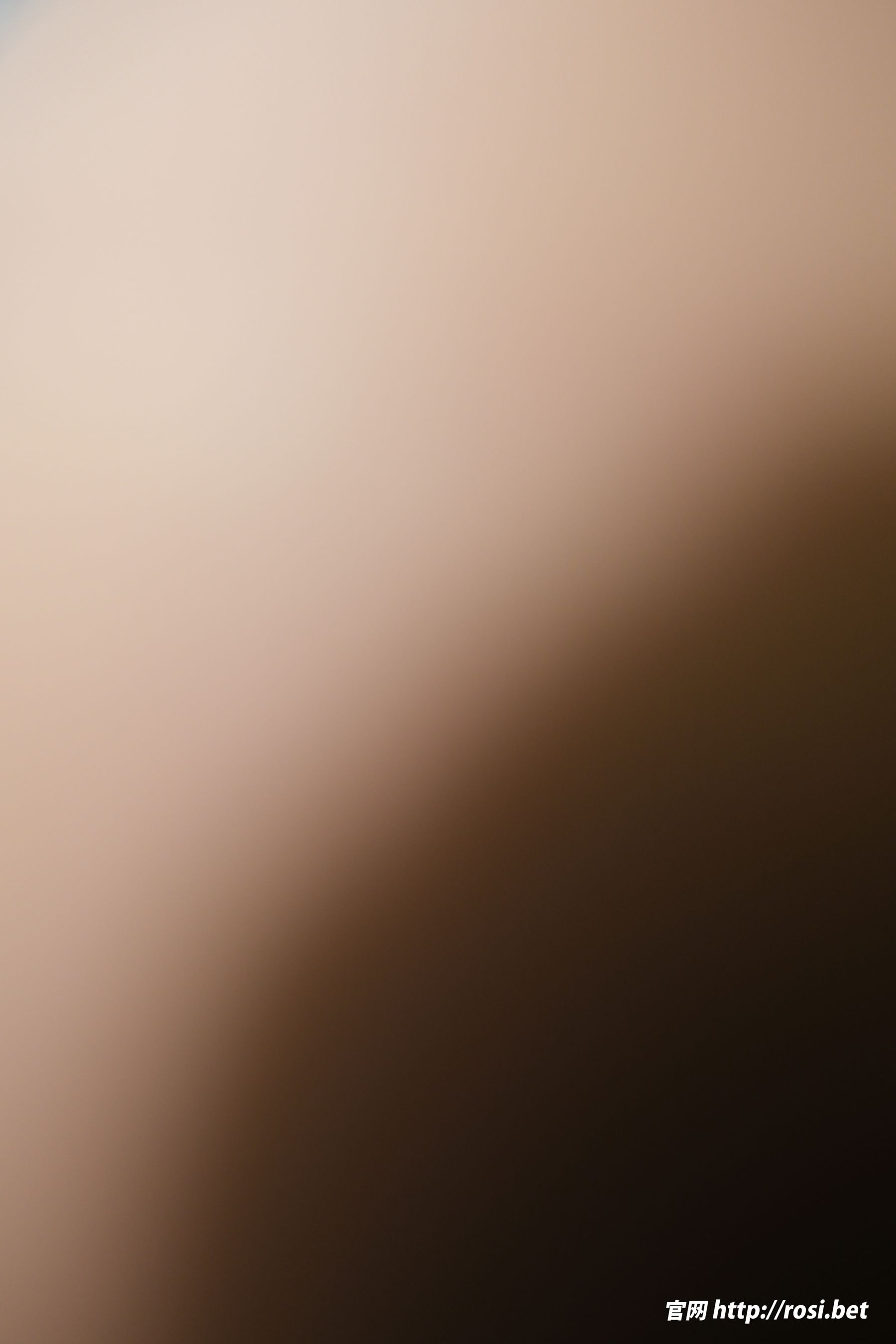 [ROSI写真] 2025.12.04 NO.5113/(91P)