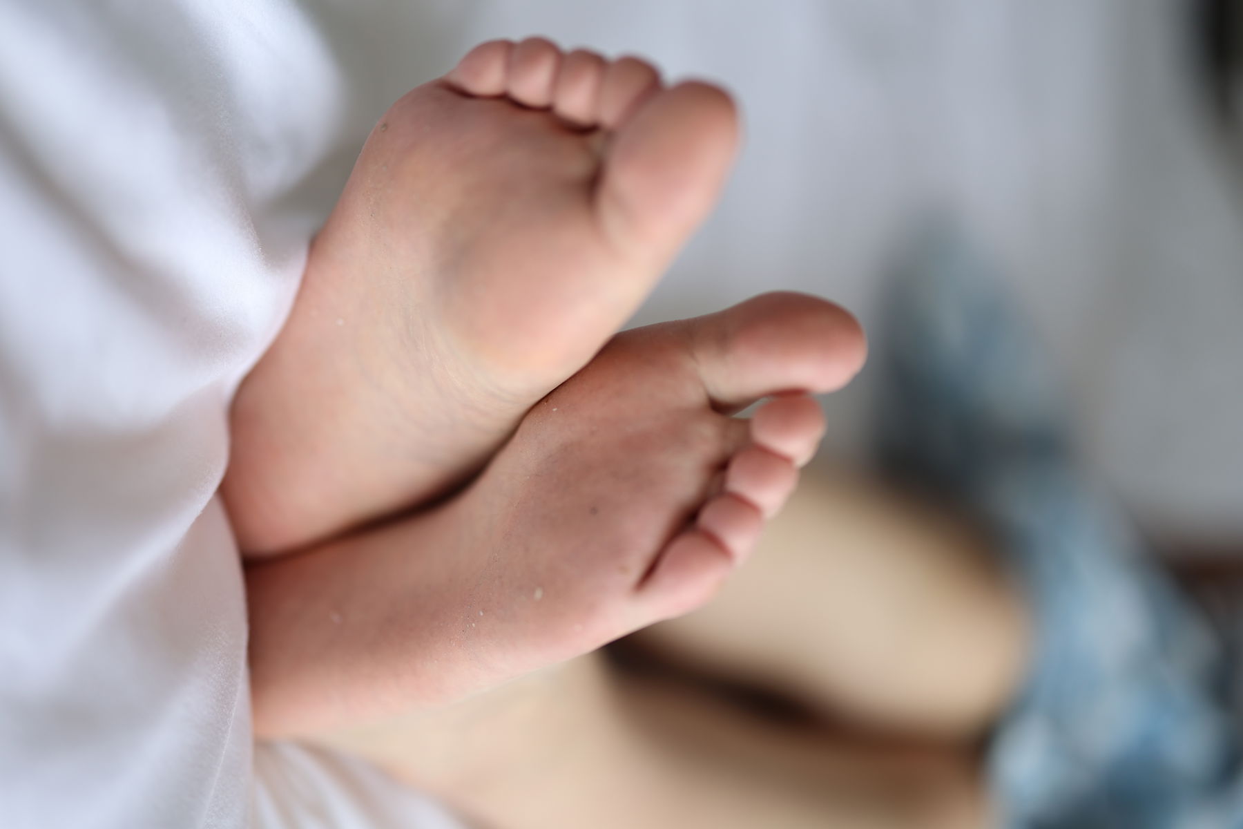 三禾摄影 No.005 肉丝大腿袜/(183P)