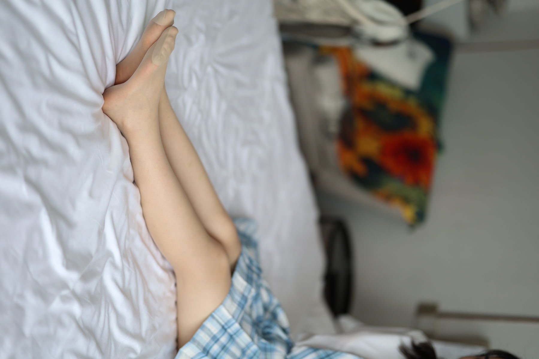 三禾摄影 No.005 肉丝大腿袜/(183P)