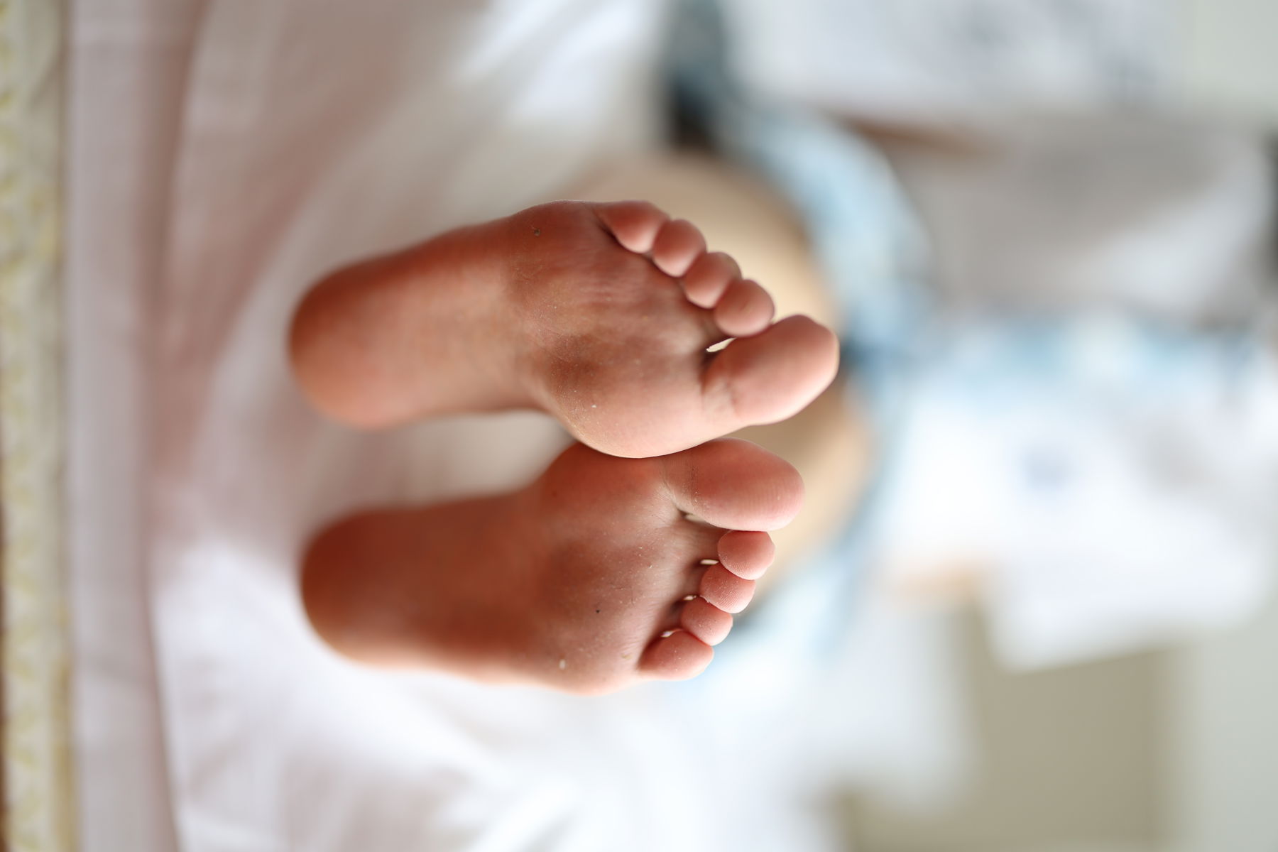 三禾摄影 No.005 肉丝大腿袜/(183P)