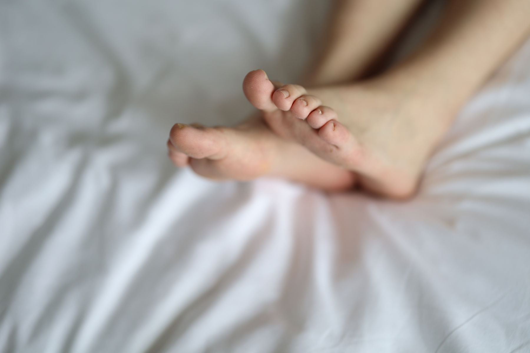 三禾摄影 No.005 肉丝大腿袜/(183P)