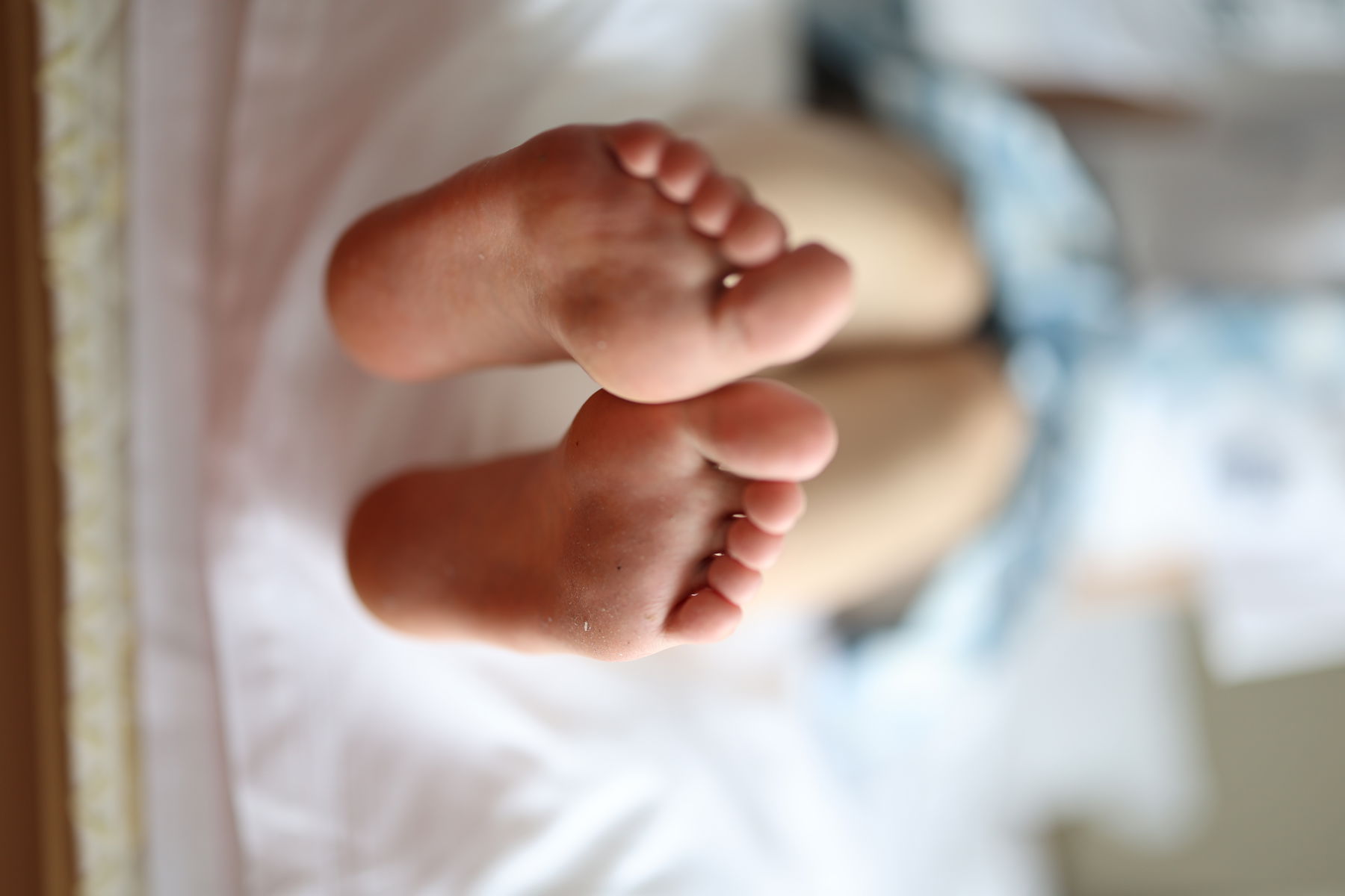 三禾摄影 No.005 肉丝大腿袜/(183P)