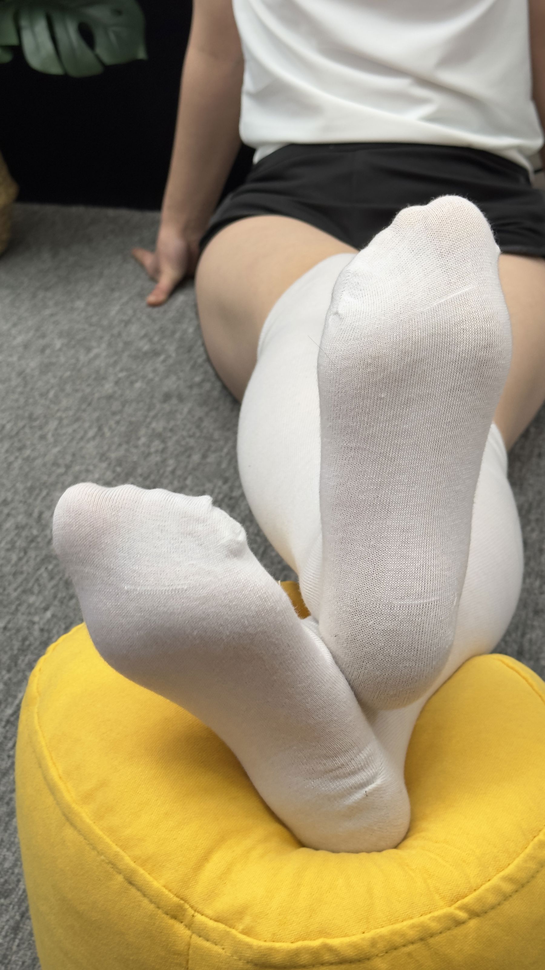 三禾摄影 No.009 体操服 过膝棉袜/(140P)