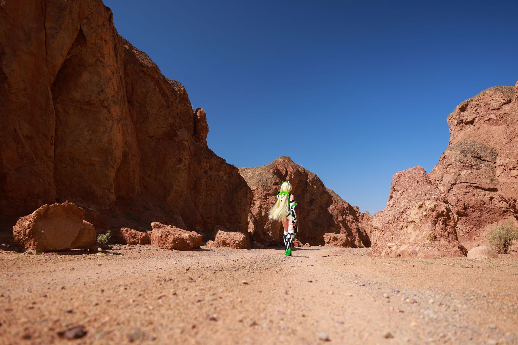 动漫博主 G44不会受伤 - 乐园追放 安吉拉/(40P)