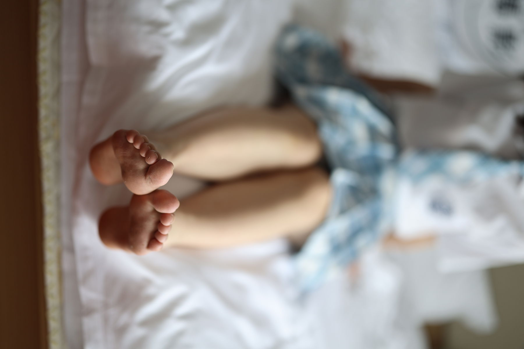 三禾摄影 No.005 肉丝大腿袜/(183P)