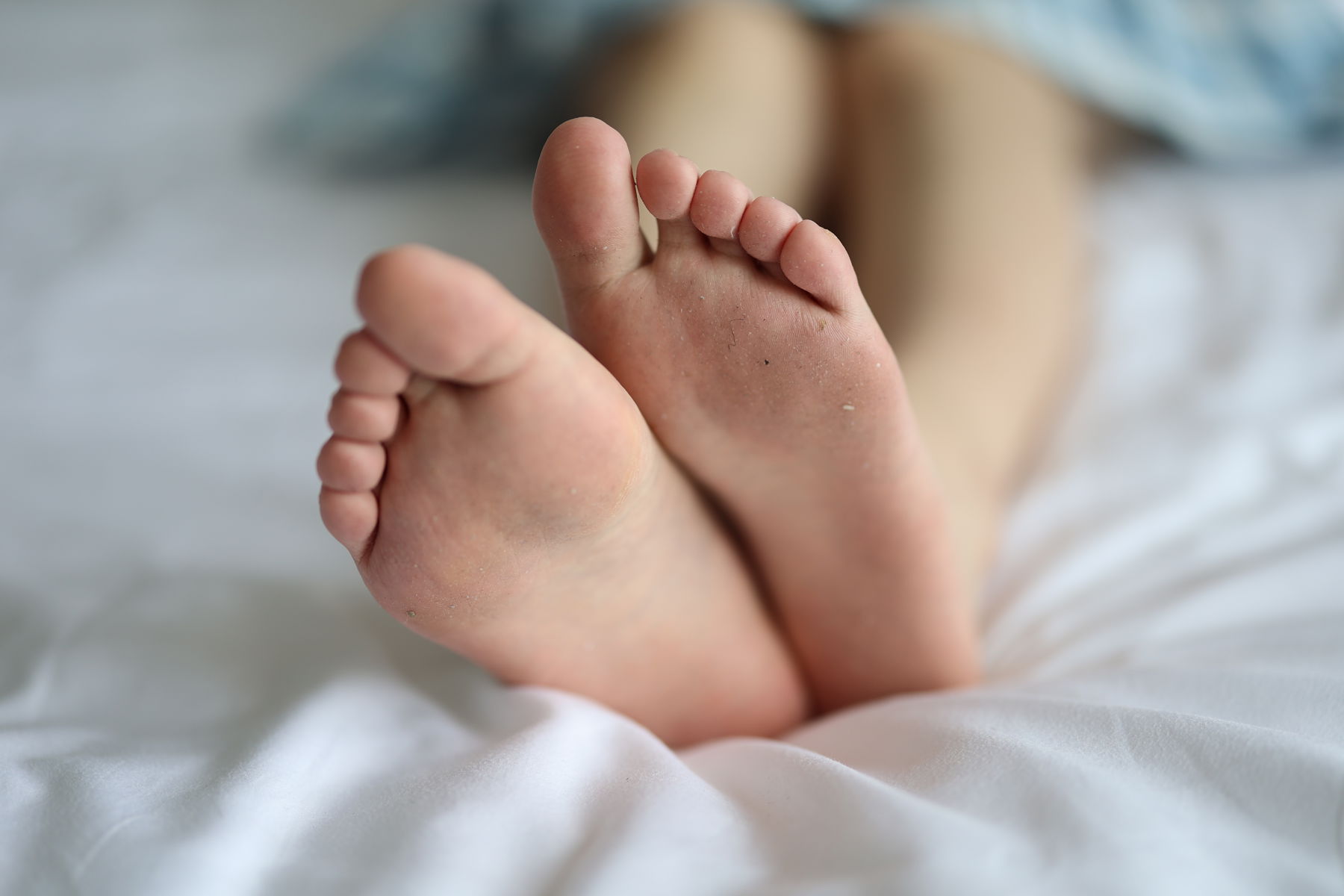 三禾摄影 No.005 肉丝大腿袜/(183P)