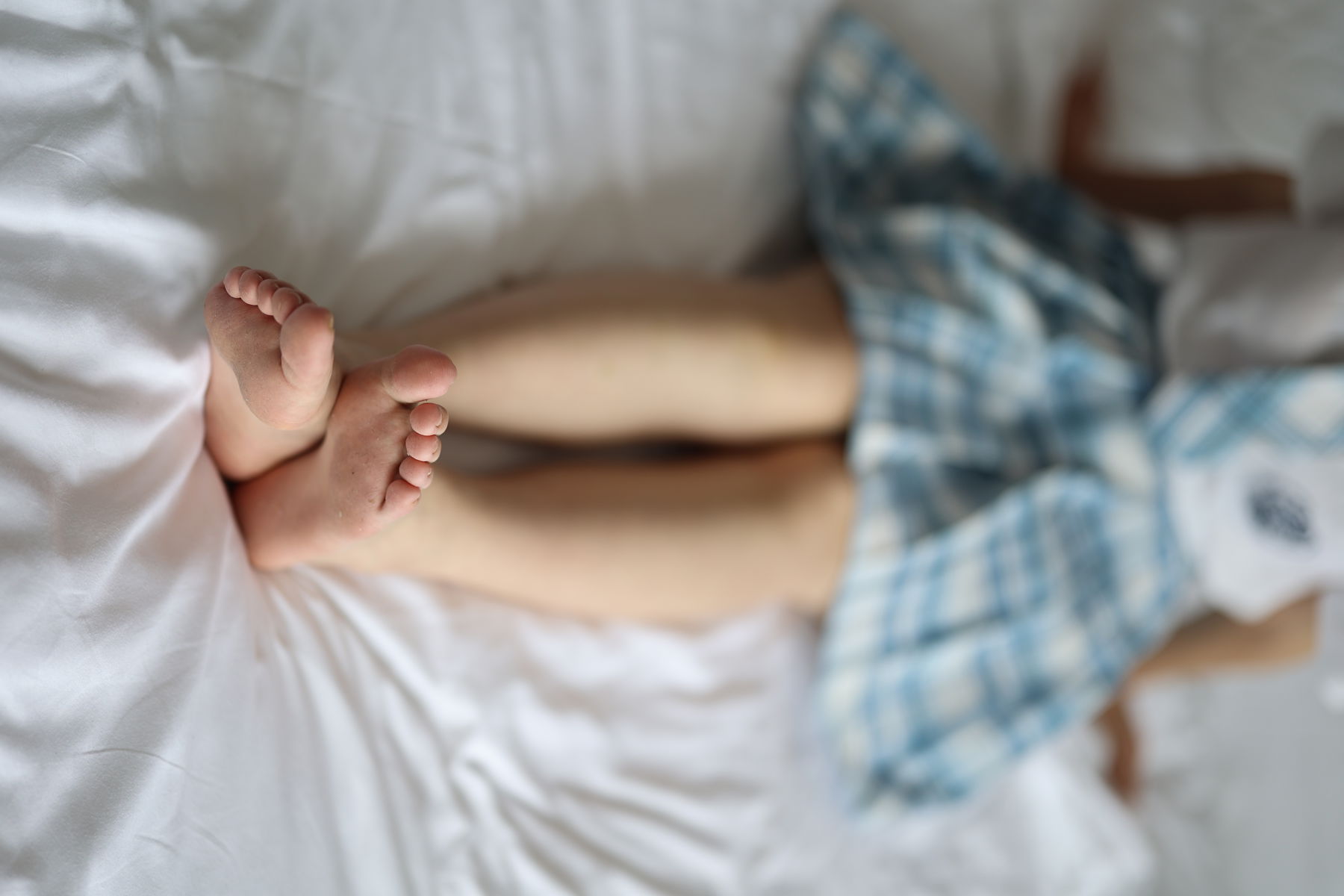 三禾摄影 No.005 肉丝大腿袜/(183P)