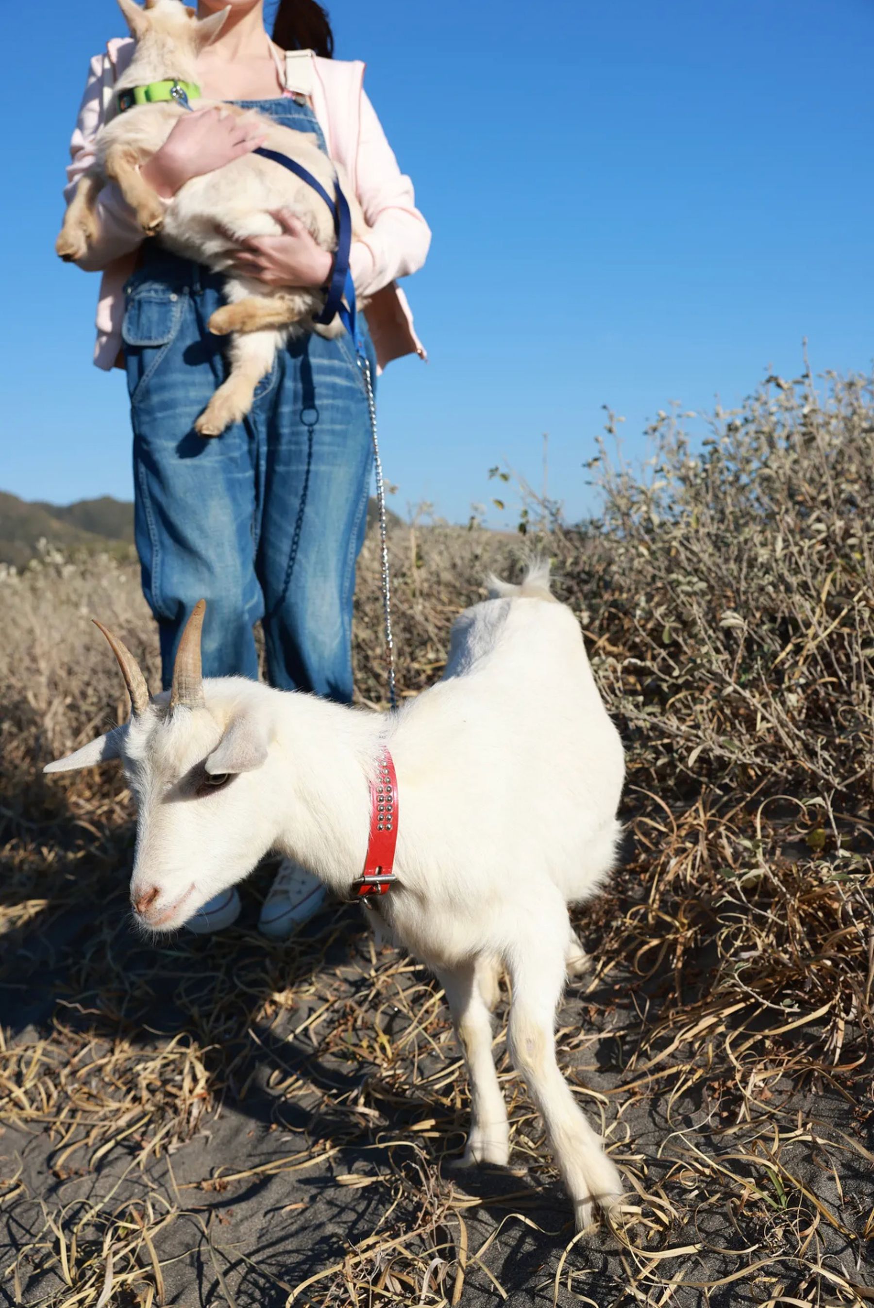 小日向ゆか - Soleil オール未公開スペシャル vol.2/(93P)