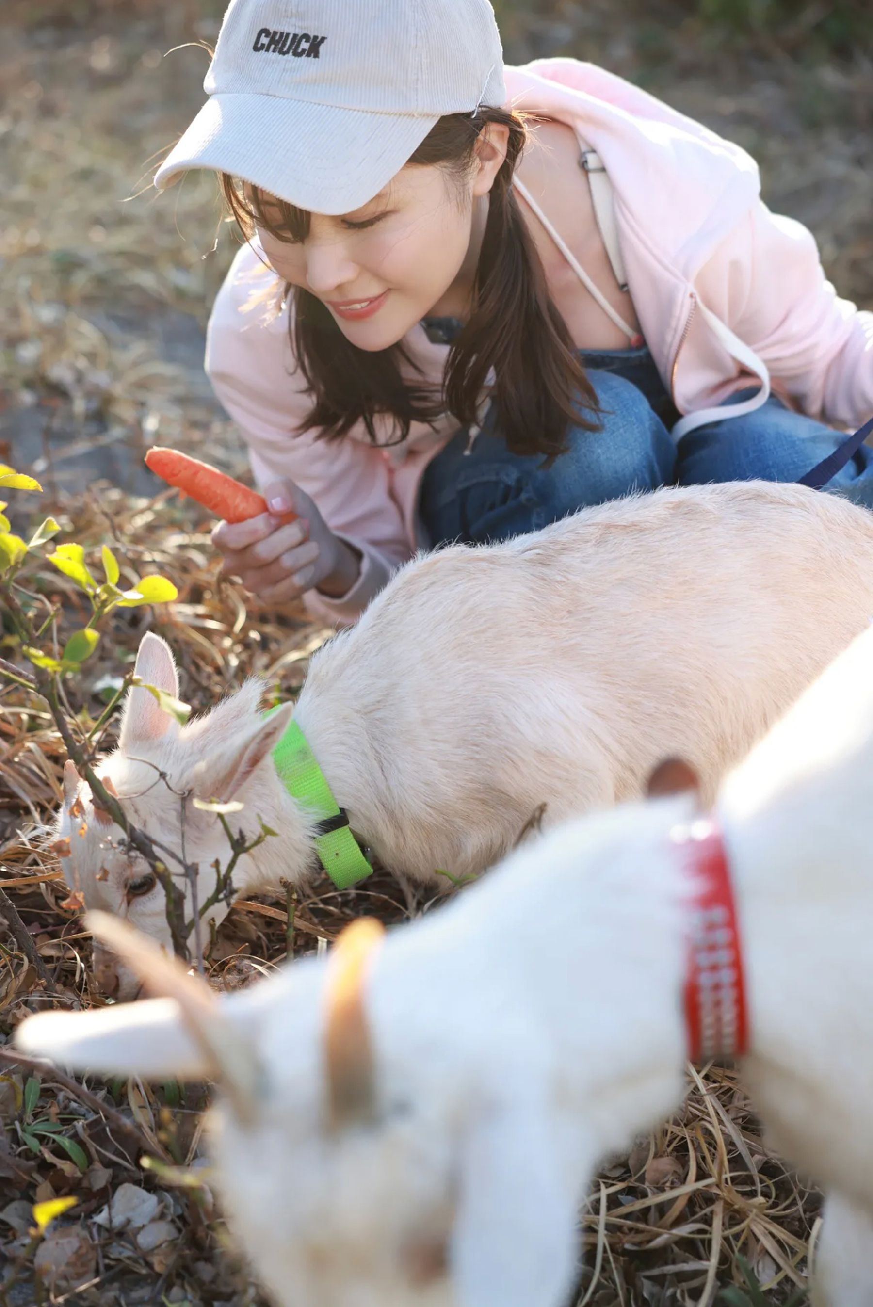 小日向ゆか - Soleil オール未公開スペシャル vol.2/(93P)