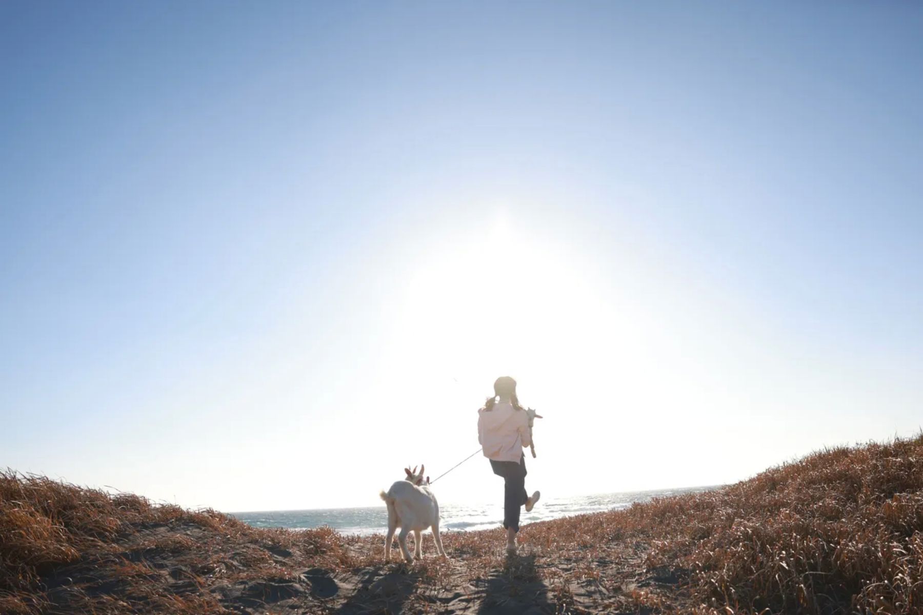 小日向ゆか - Soleil オール未公開スペシャル vol.2/(93P)