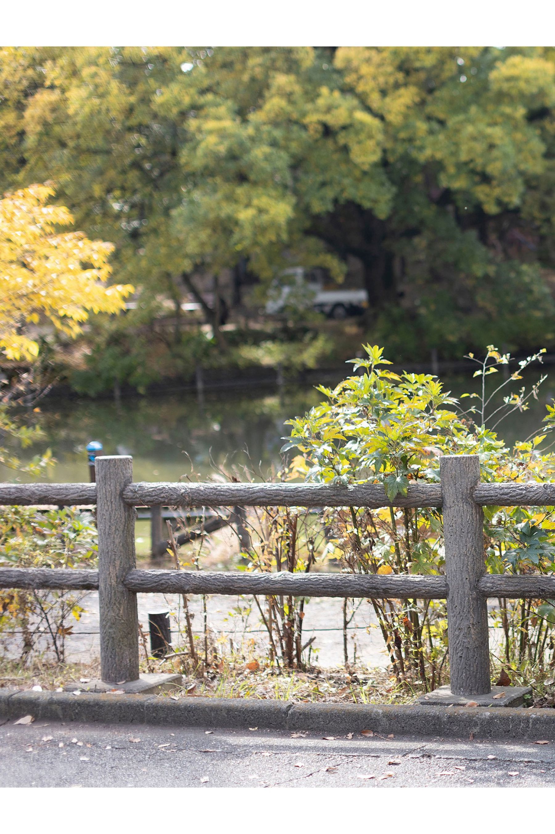 志田音々 - 大人びたキミが眩しくて/(96P)