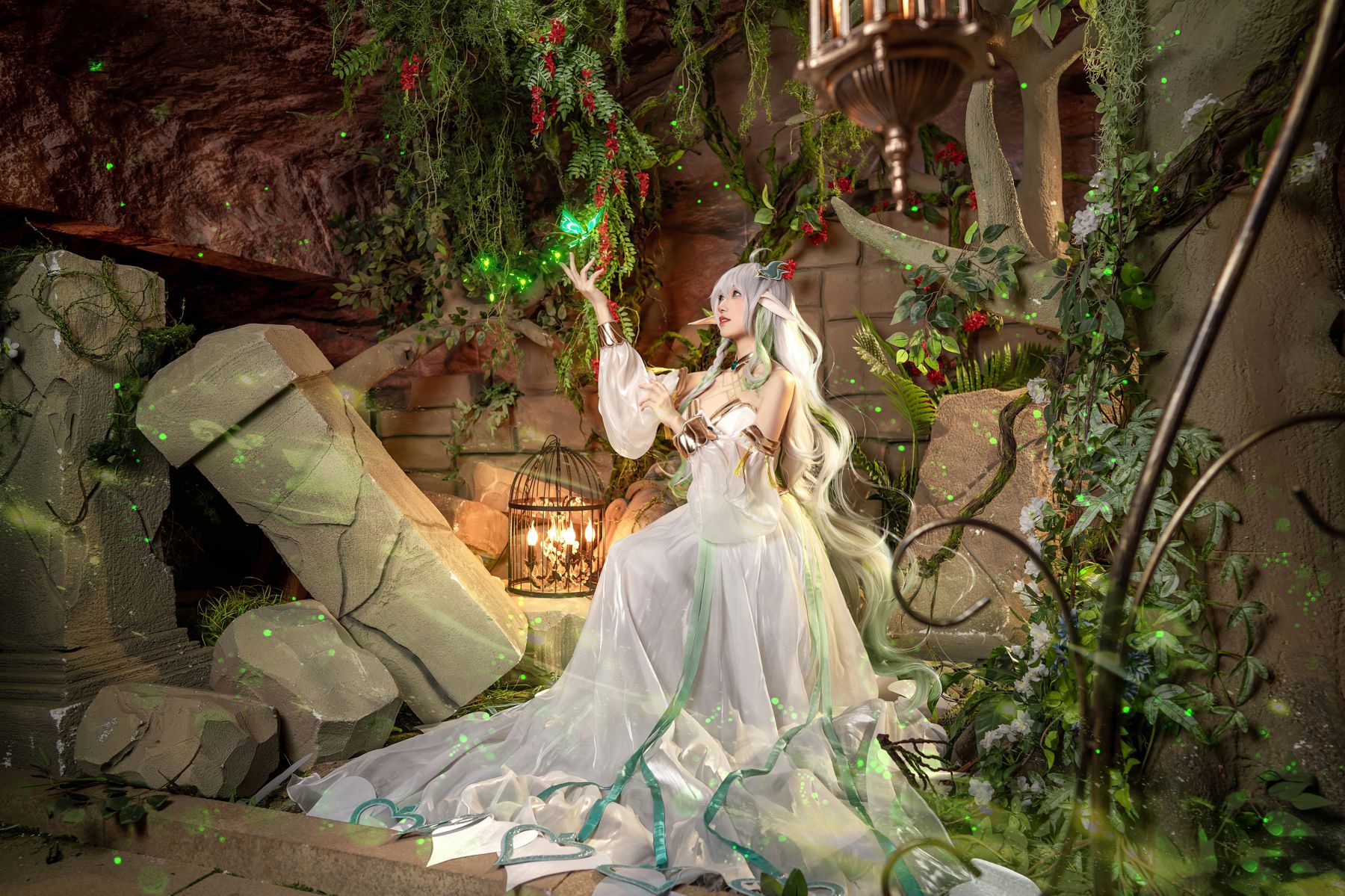 是夙卿呀 - 大慈树王/(10P)