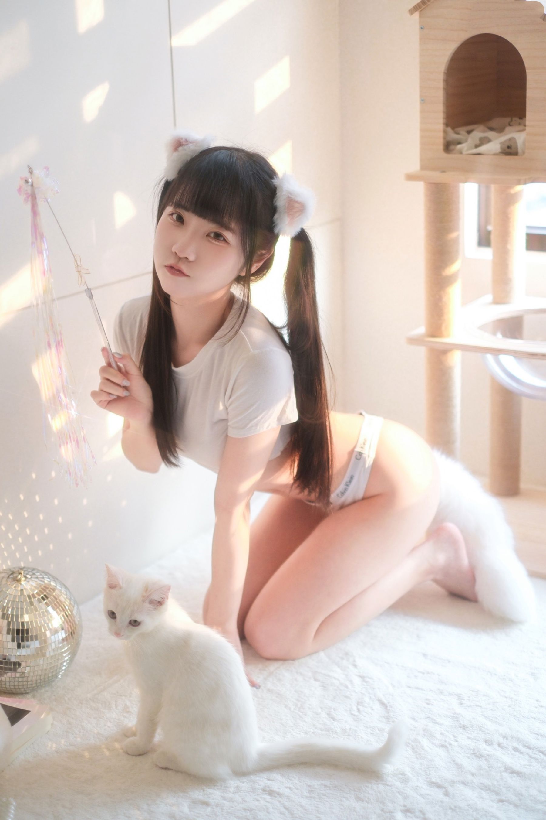 可可小白兔 - 小貓娘想被主人疼愛/(62P)