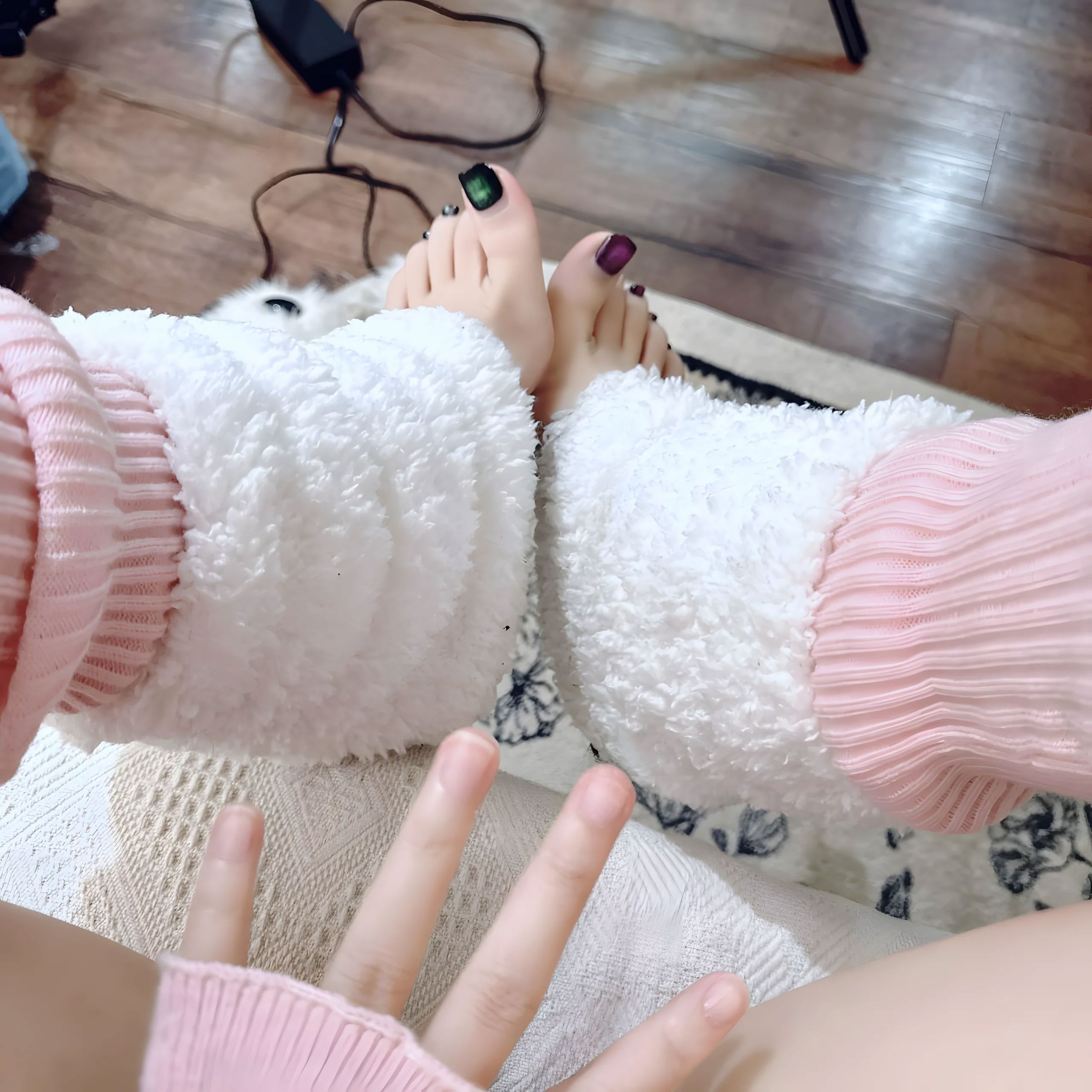 Gallery - CatDemon喵崽（你的喵崽）- 等待主人归来的小羊 - 图库库 - image 14