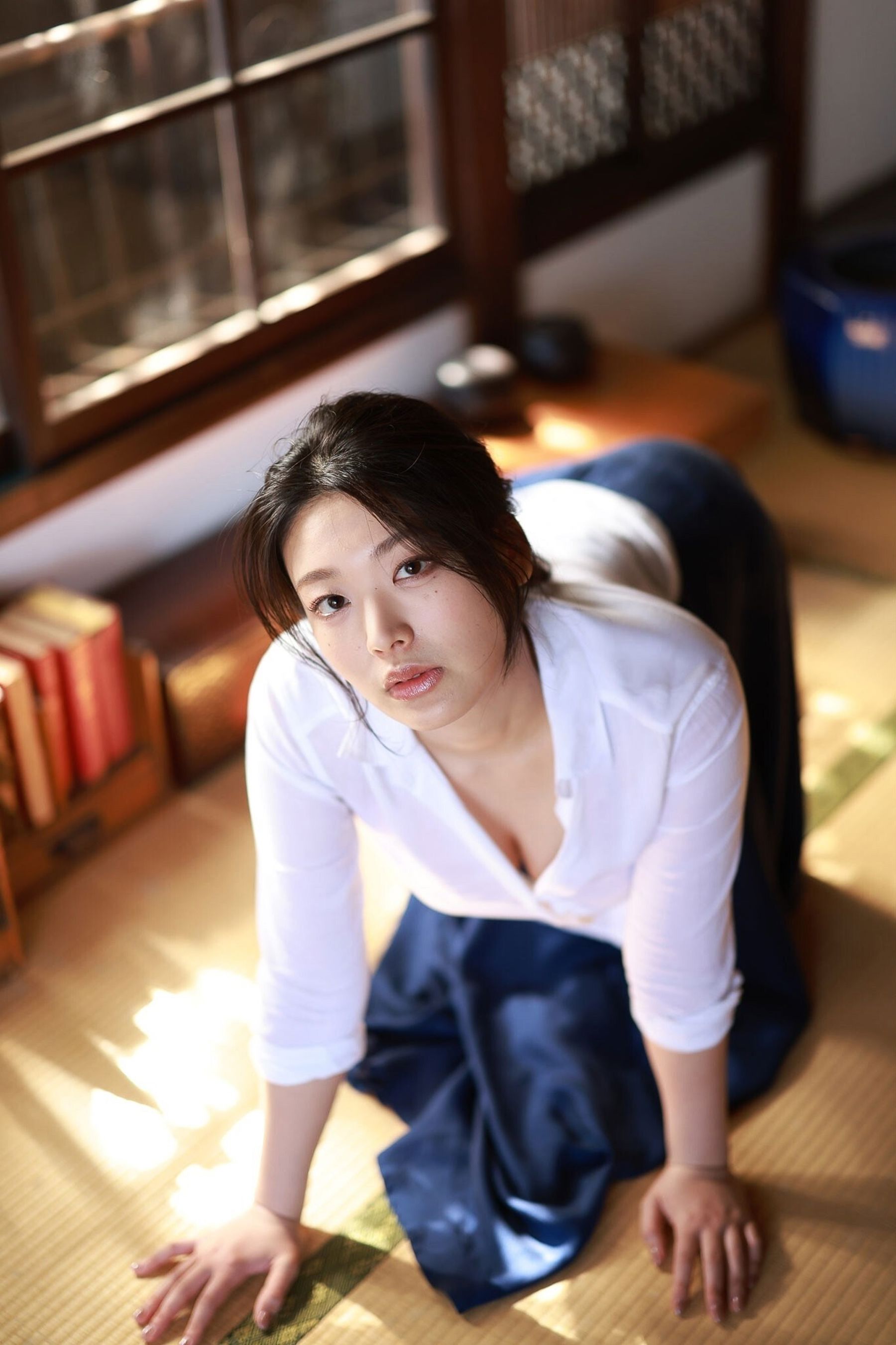 風吹ケイ - 昼下がりの欲望/(56P)