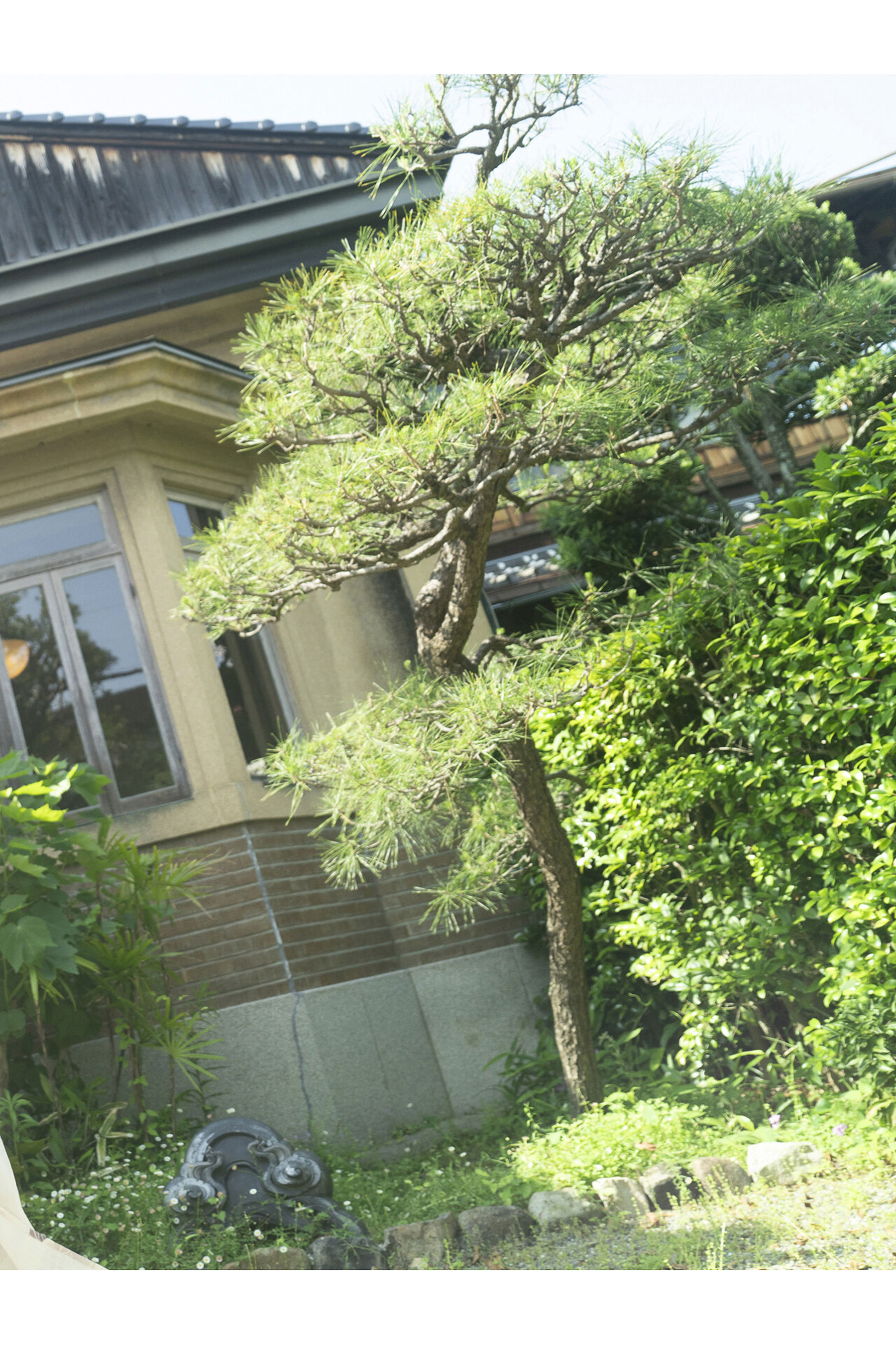 桃月なしこ - 不器用な先輩。/(102P)