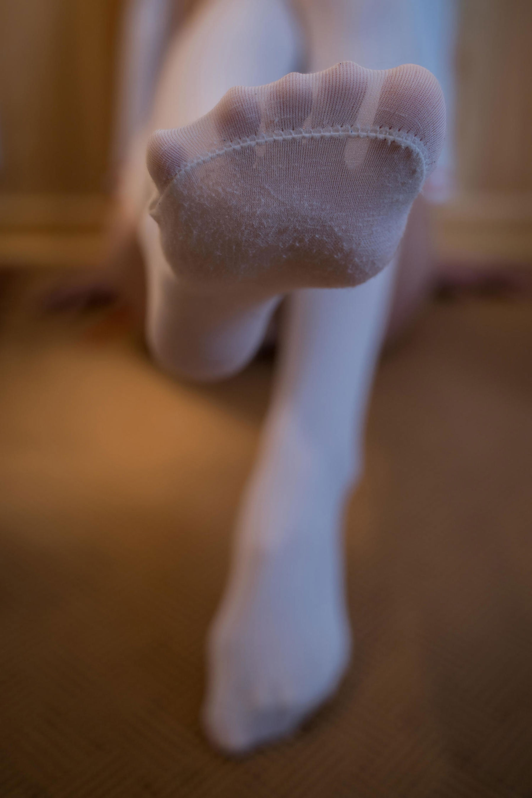 西园寺南歌 写真 - 巫女本/(79P)