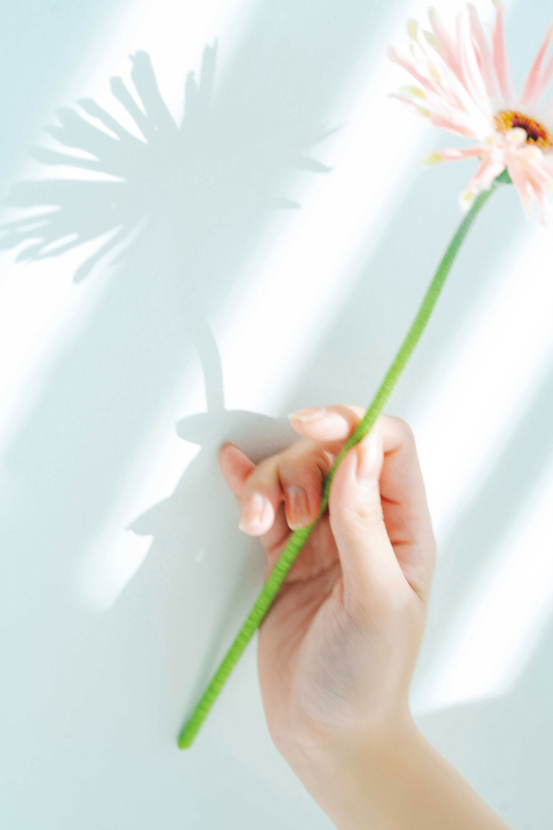 川道さら - 虹色シャワー/(78P)