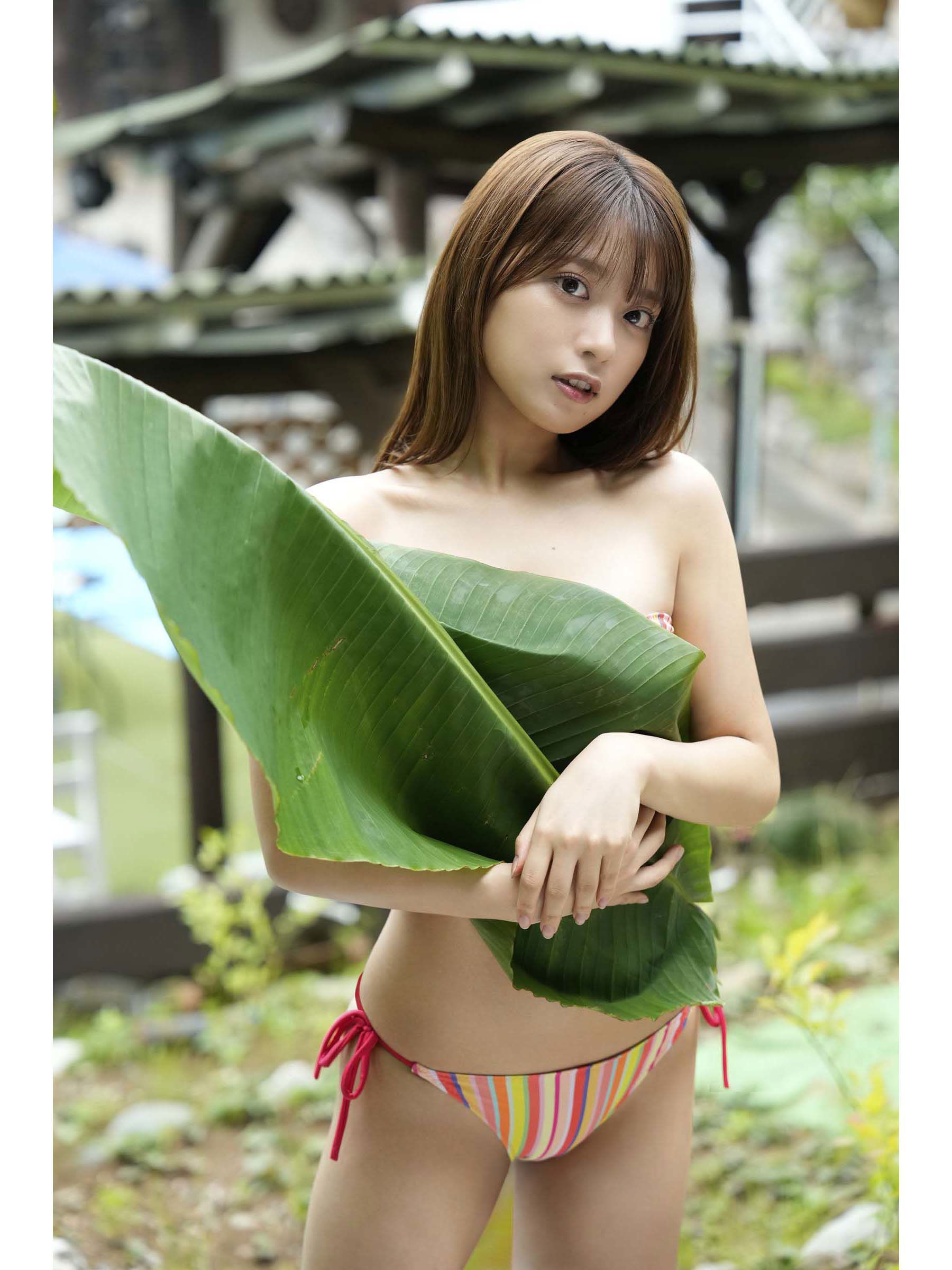 まるぴ - まるぴ観察日記/(42P)