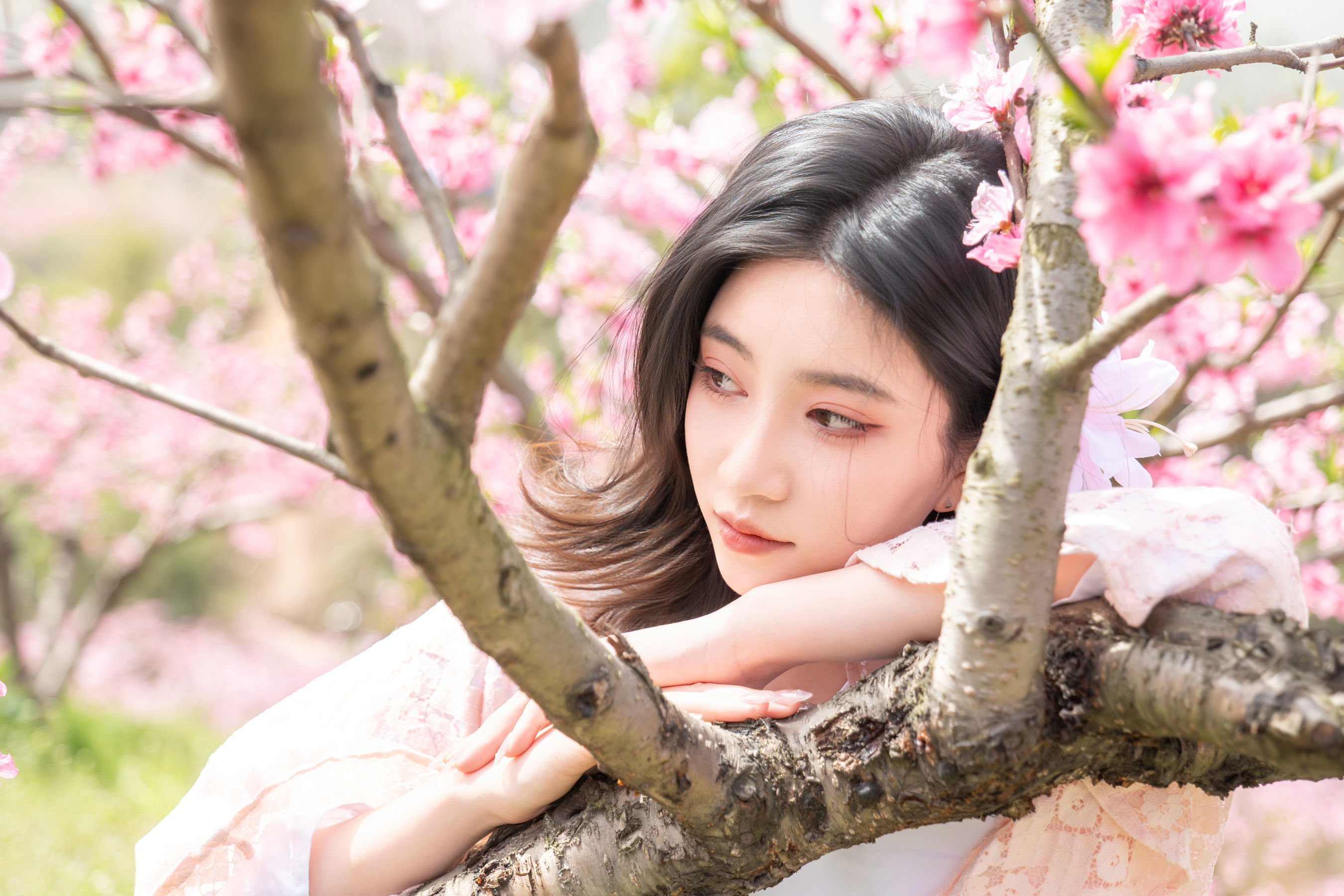 Nnian - 漫花/(57P)