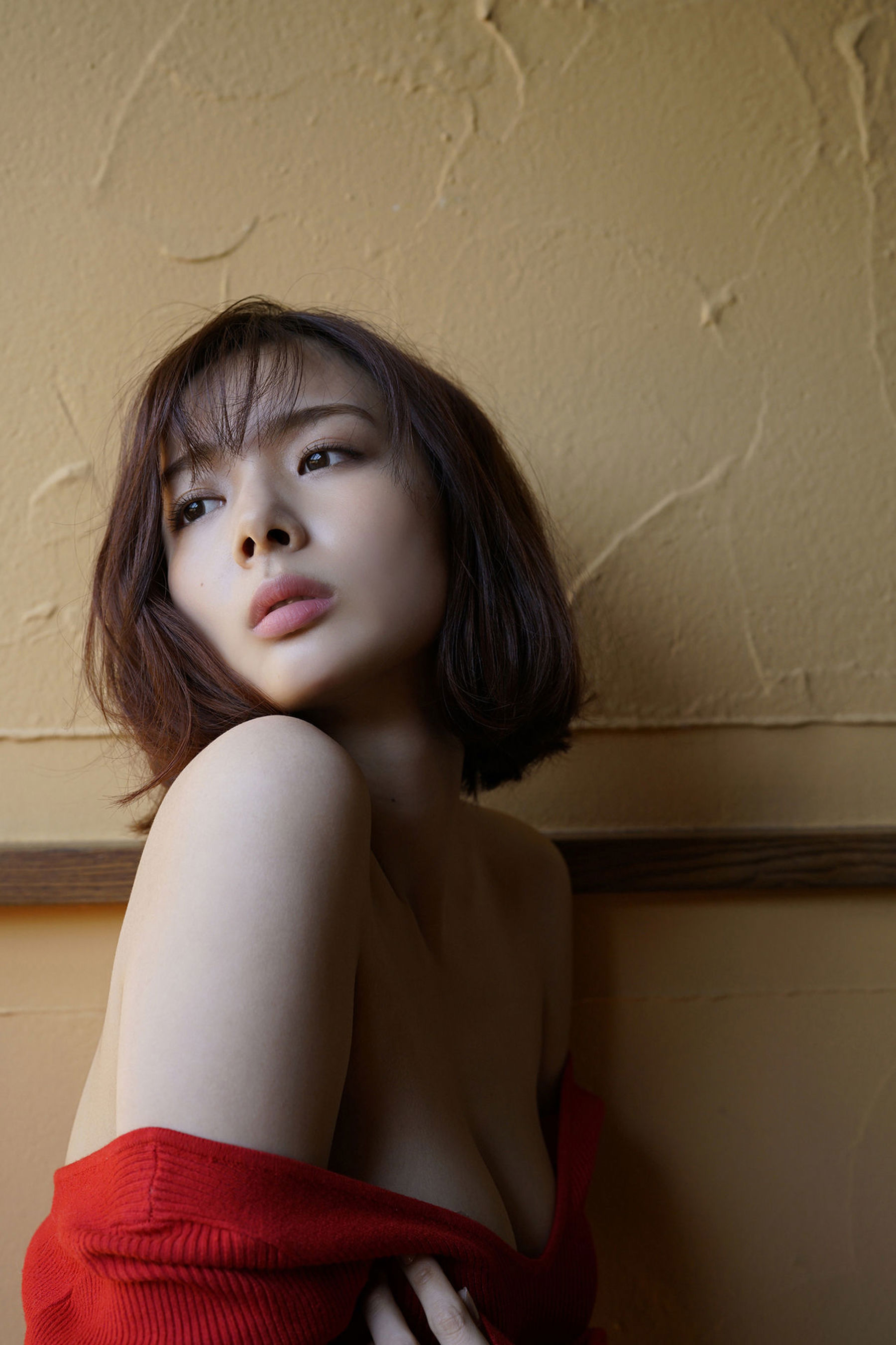 岡田紗佳 - ハイスペックガール/(81P)