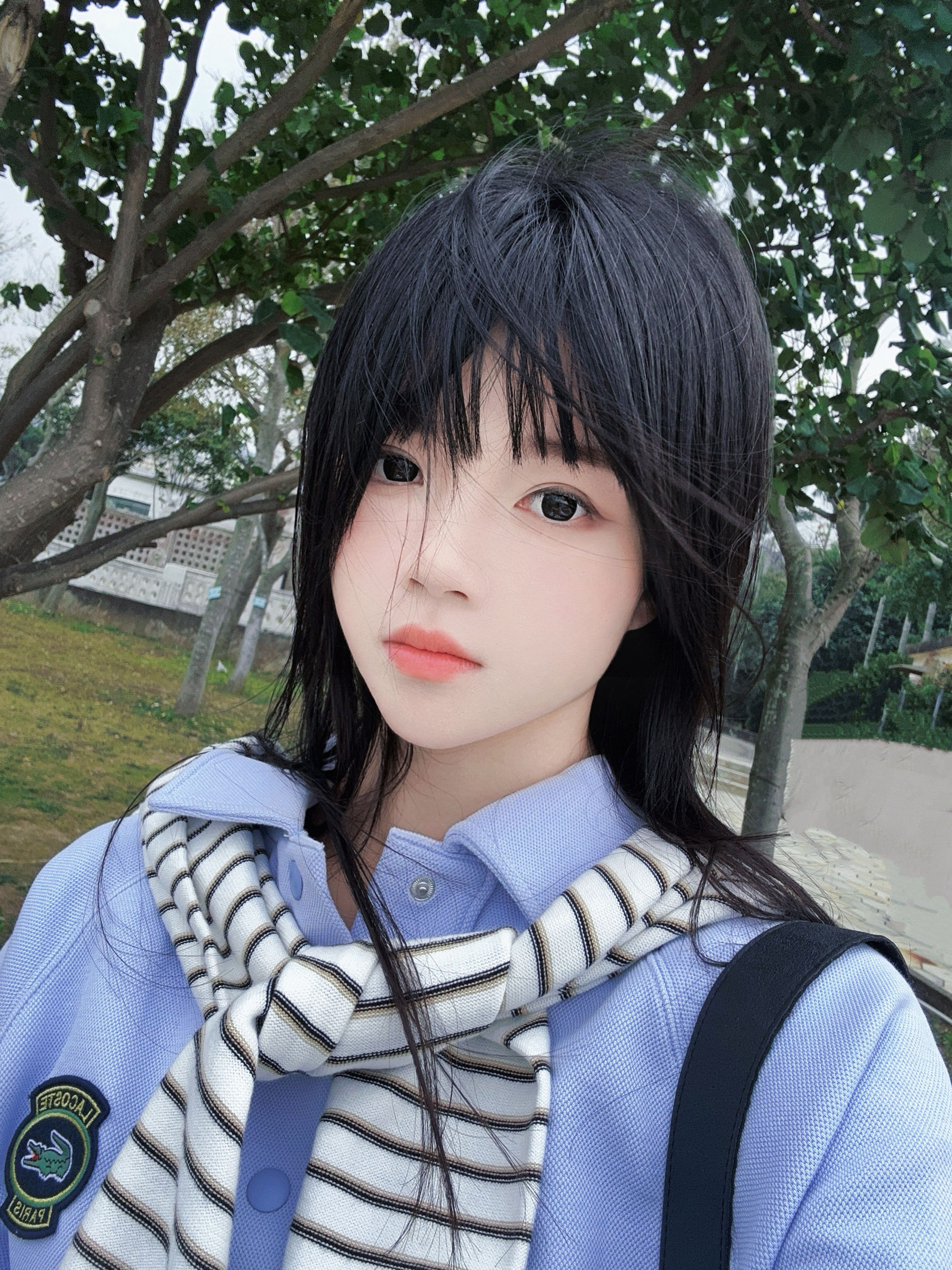 桜桃喵 - 蓝/(20P)