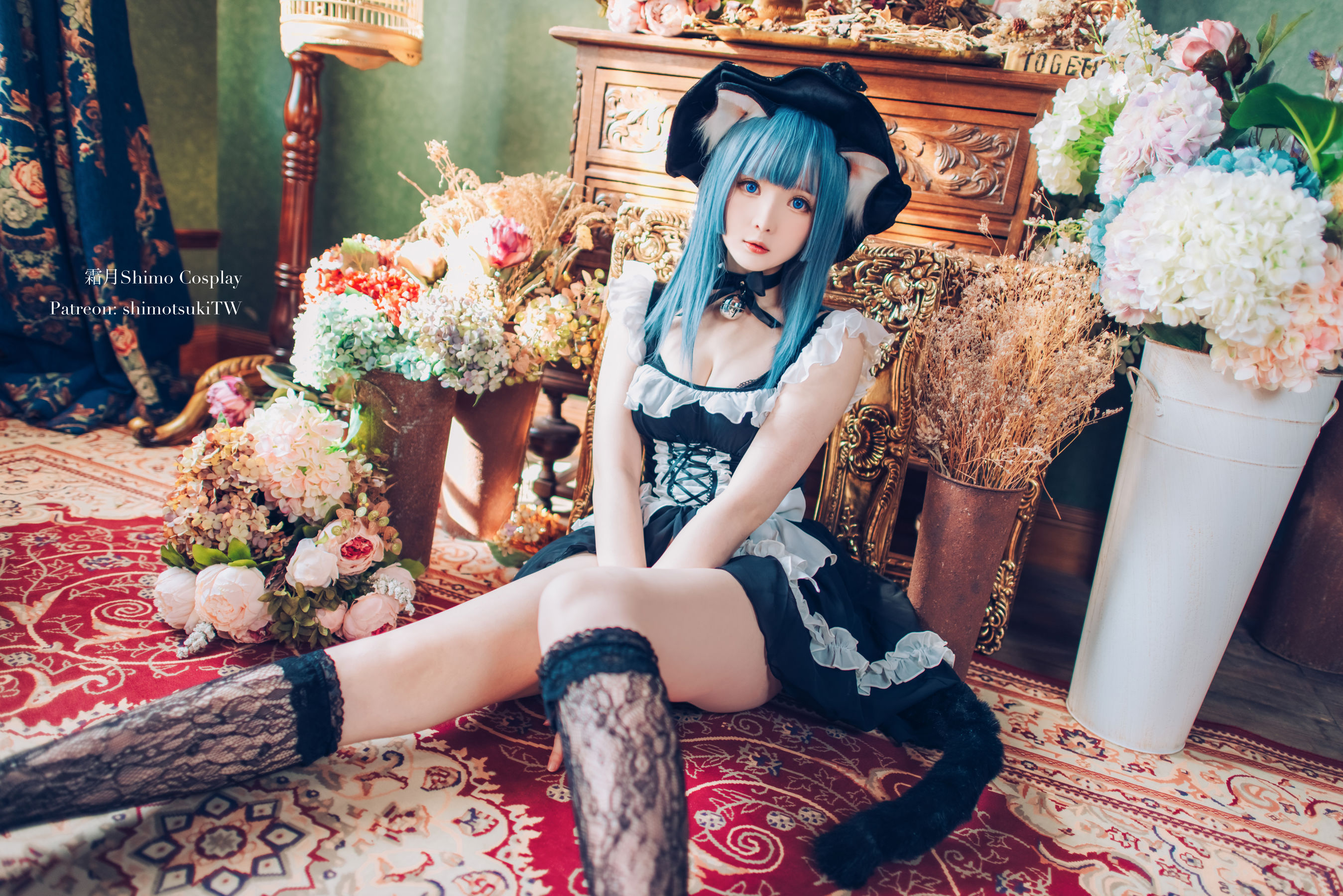 微博妹纸霜月shimo - Original Cat Witch/(14P)