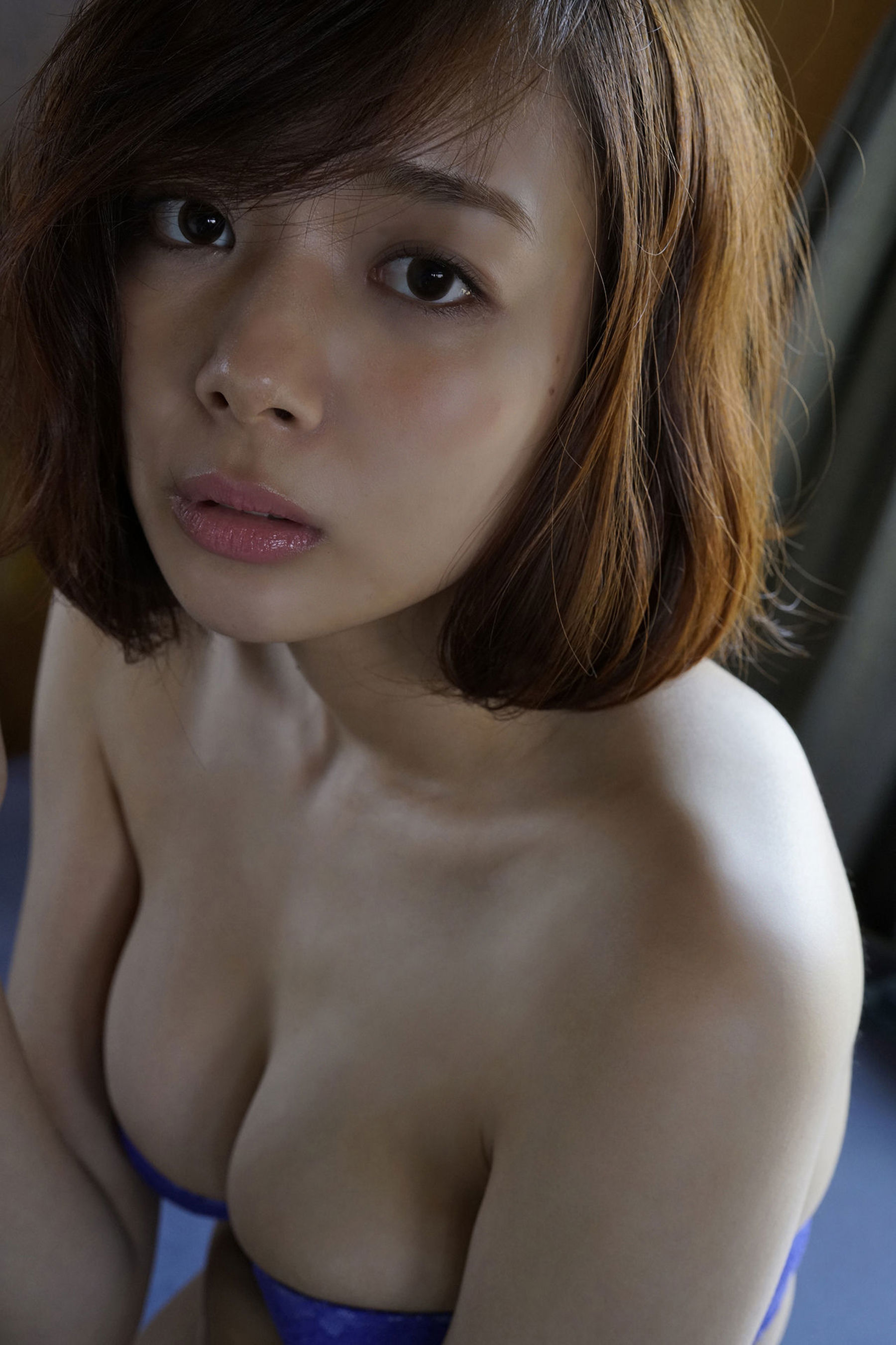 岡田紗佳 - ハイスペックガール/(81P)