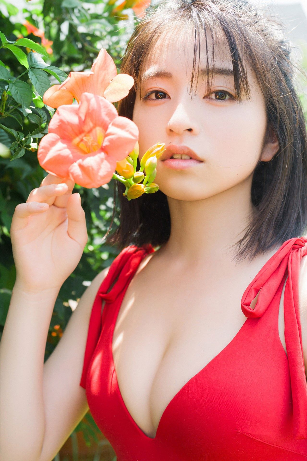 佐々木ほのか - 淡いトキメキ vol.1/(100P)