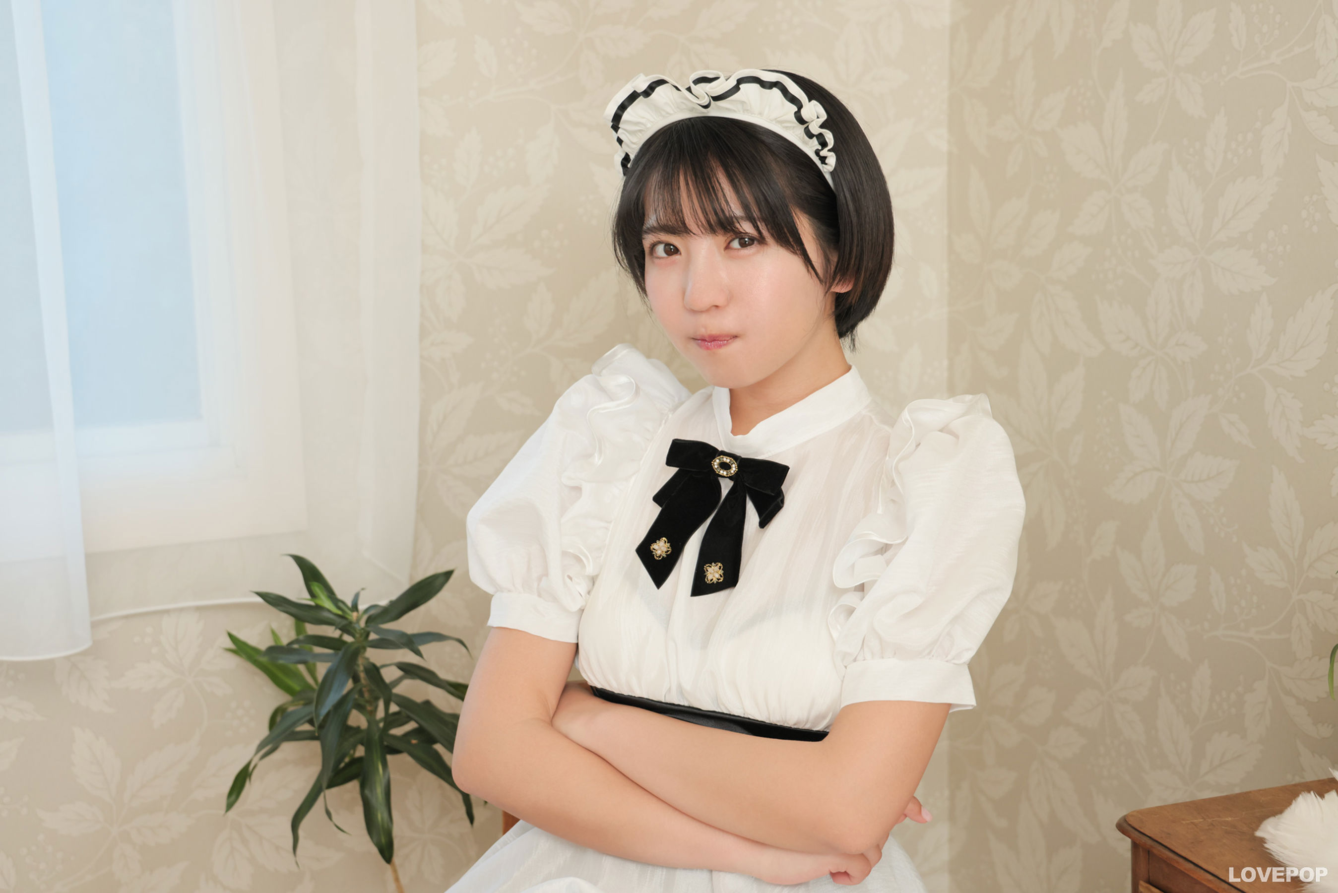[LOVEPOP] Moeka Sasaki 佐々木萌香 Photoset 46/(91P)
