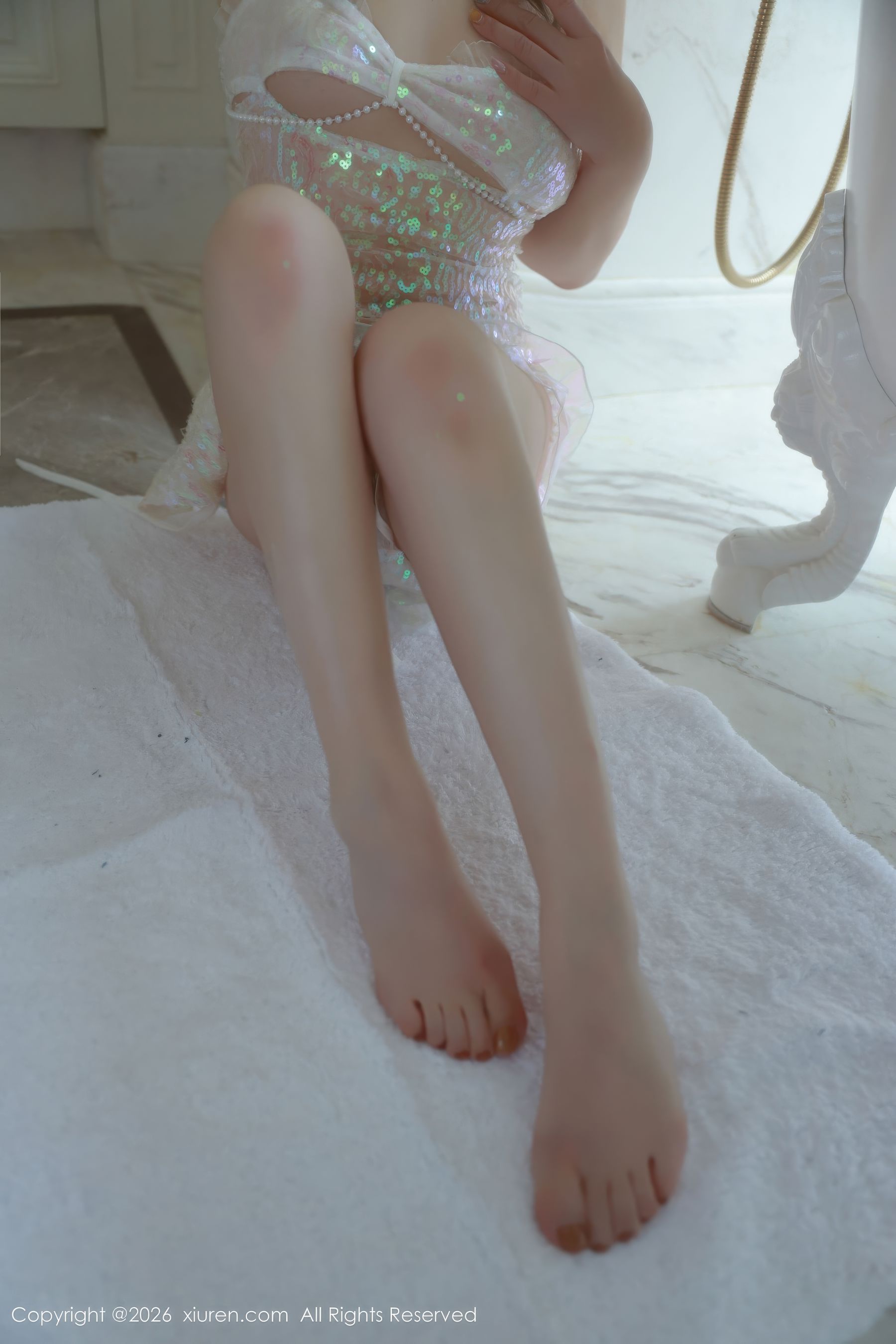 [秀人XiuRen] 2026.01.30 No.11298 小薯条nienie/(70P)